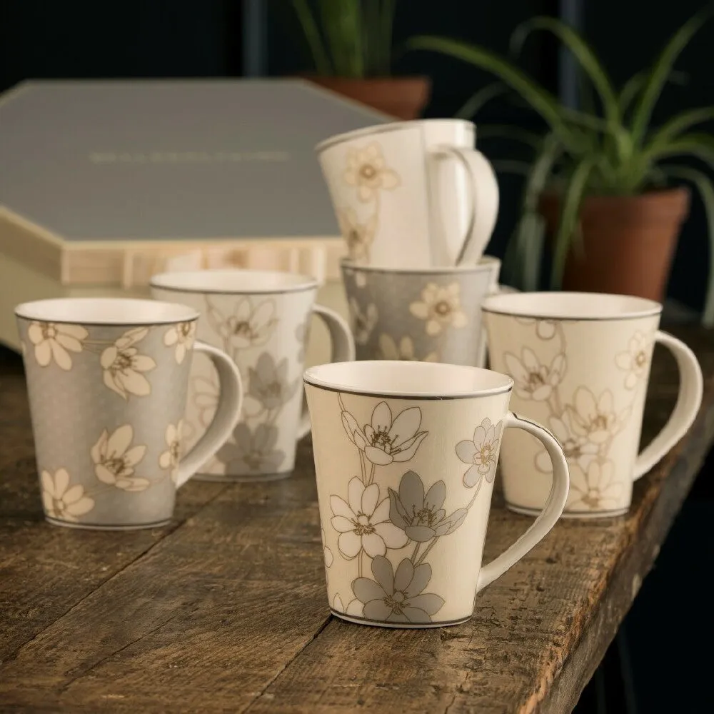 Belleek Living Bay Flowers 6 Mugs Hexagon Box