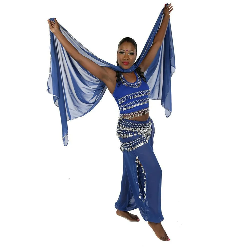 Belly Dance Chiffon Harem Pants, Top, Hip Scarf & Veil Costume Set | FESTIVAL FLAIR