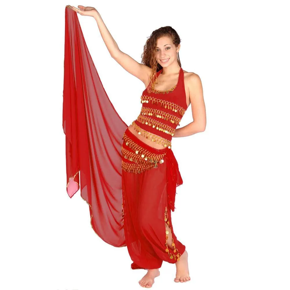 Belly Dance Chiffon Harem Pants, Top, Hip Scarf & Veil Costume Set | FESTIVAL FLAIR