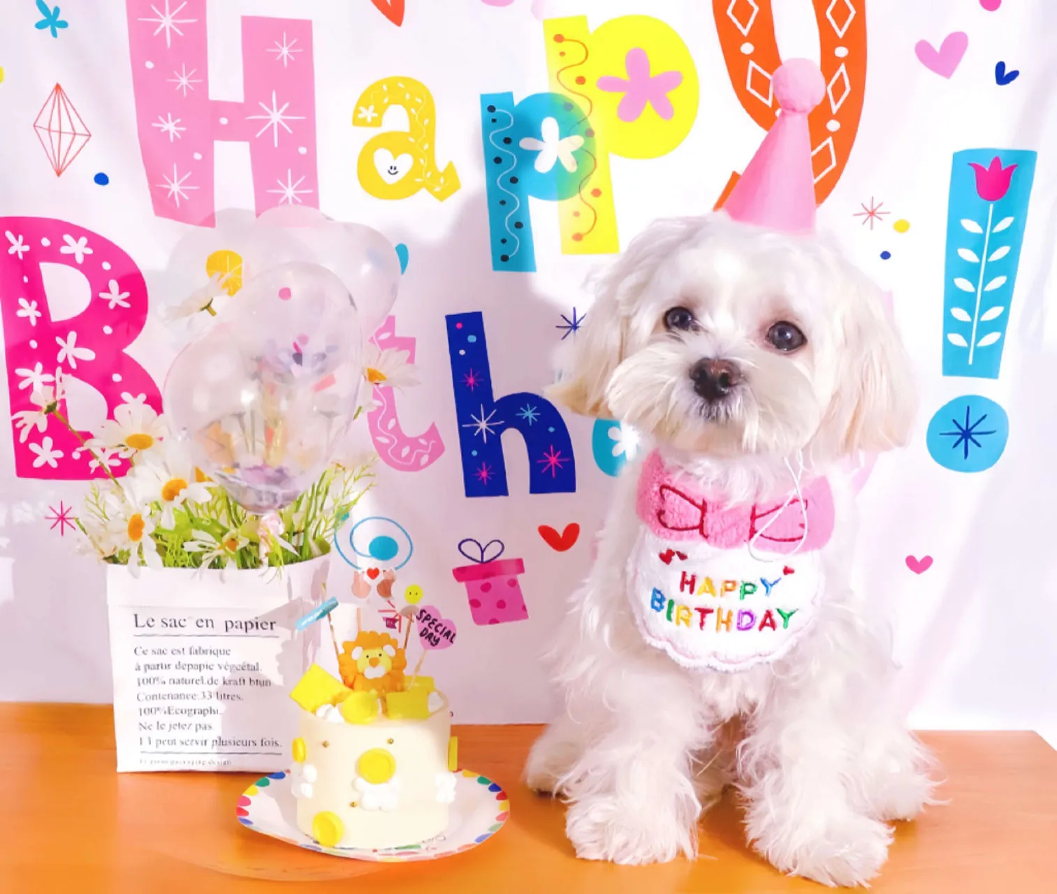 Birthday Party Hat Pet Bibs Set