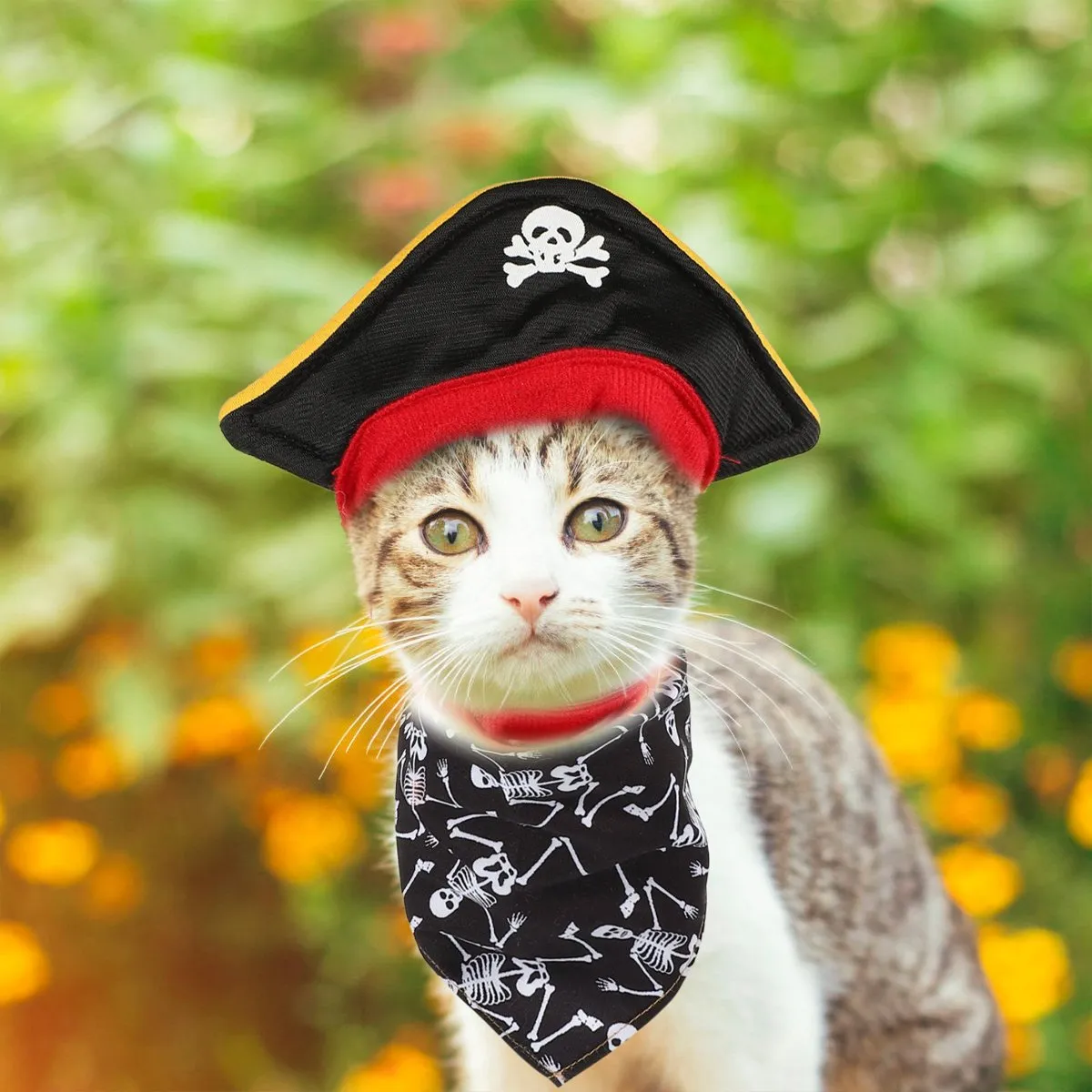 Halloween Pirate Hat Skeleton Cat Pumpkin Triangle Towel Suit for Pets