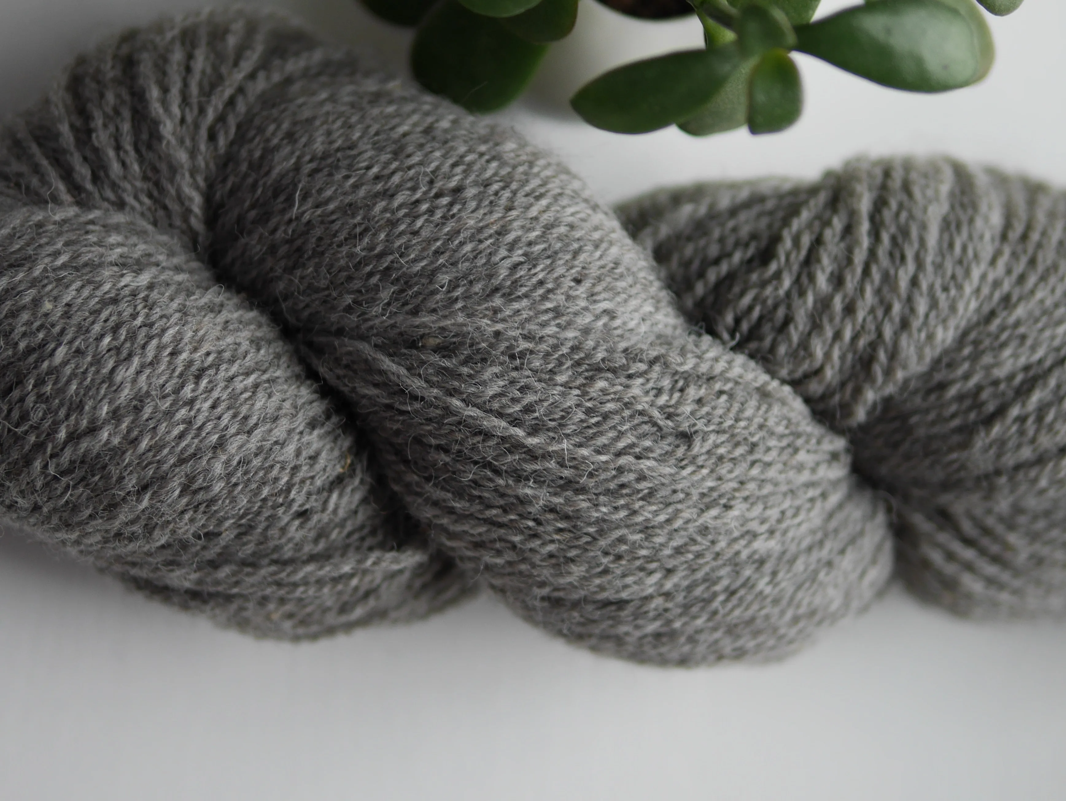 Jacob's Dream Sport <br><small>100% jacob wool</small>