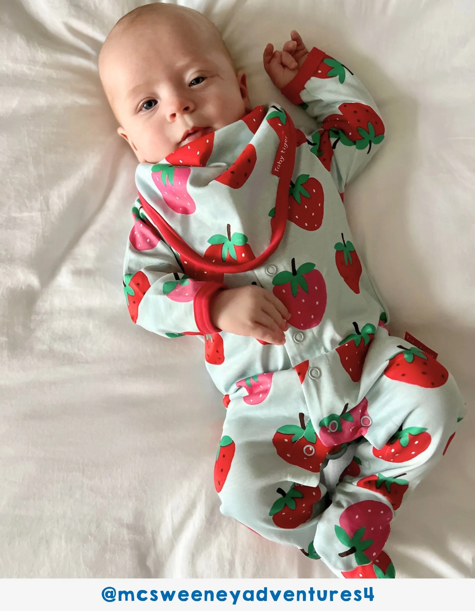 Organic Strawberry Print Baby Gift Set