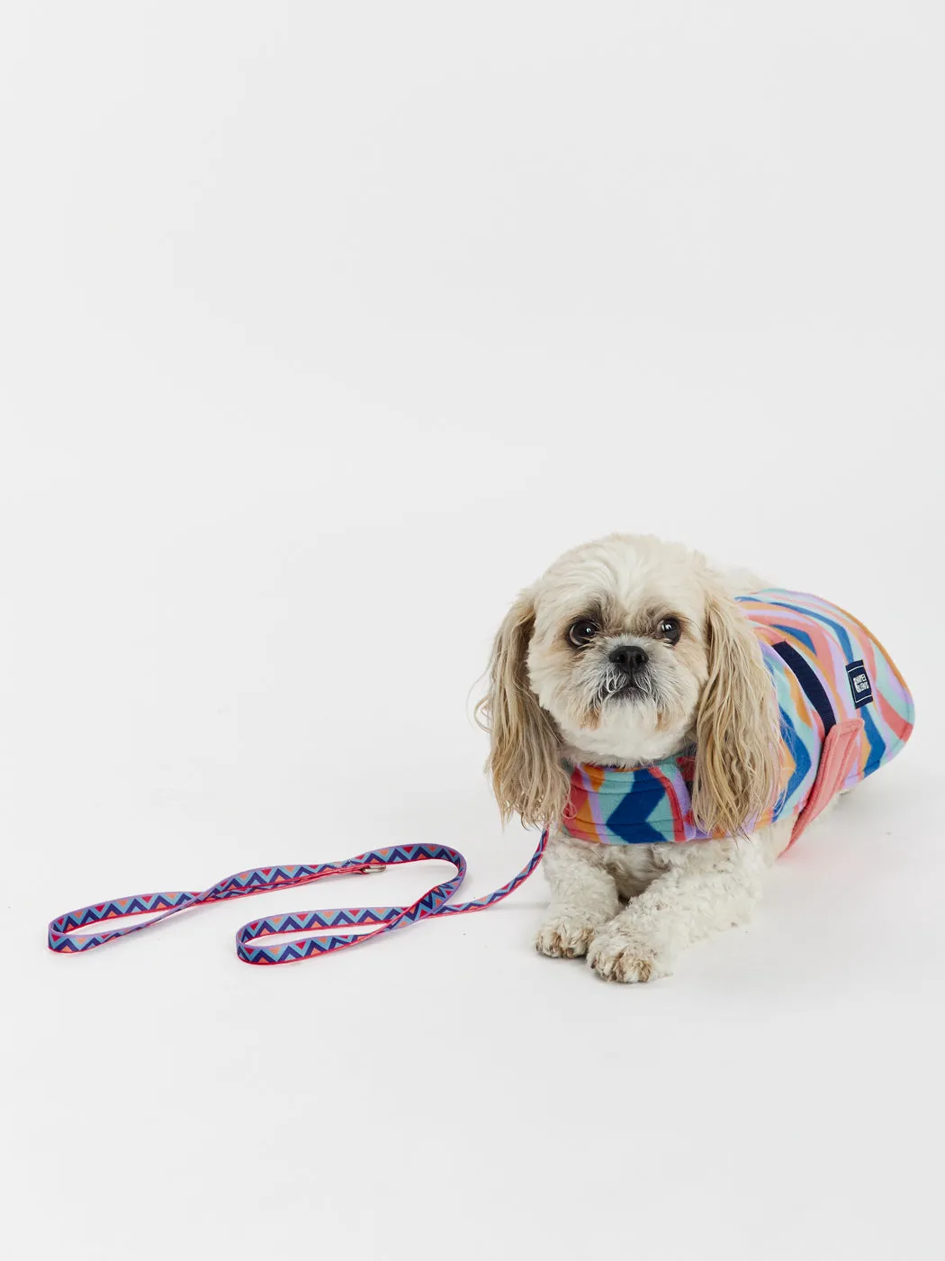 Raver Dogs Fleece