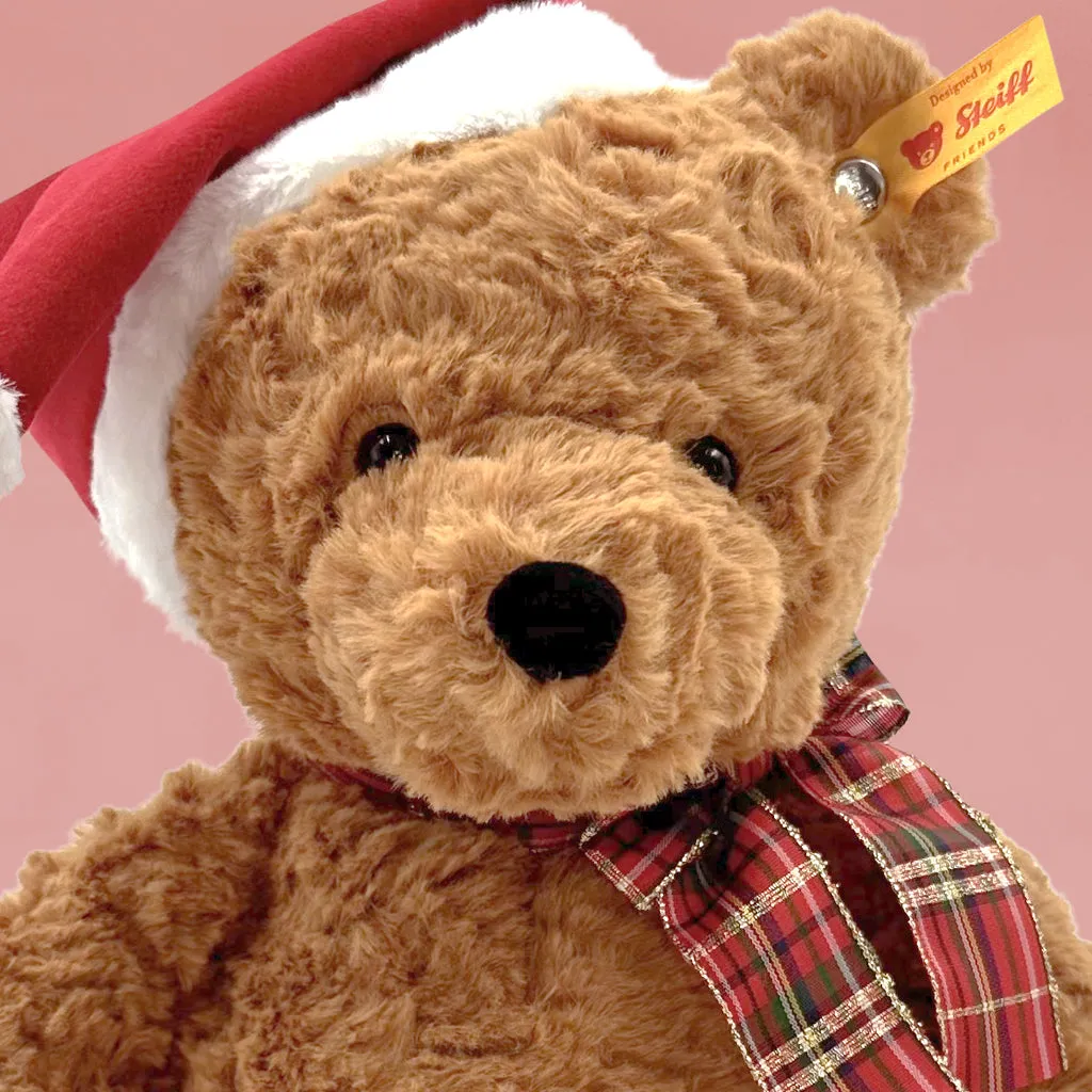 Steiff Jimmy Christmas Bear with Personalised Red Stocking Gift Set