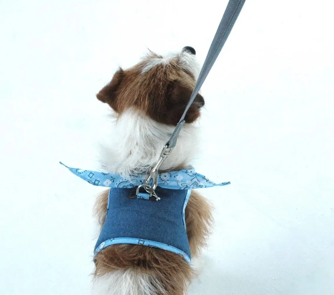 Tiny Dog Denim Dog Harness Blue Bandana Scarf | 4 LBS to 15 LBS